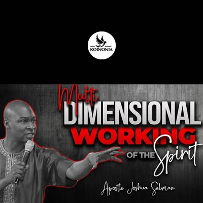 The Multidimensional Working of the Holy Spirit